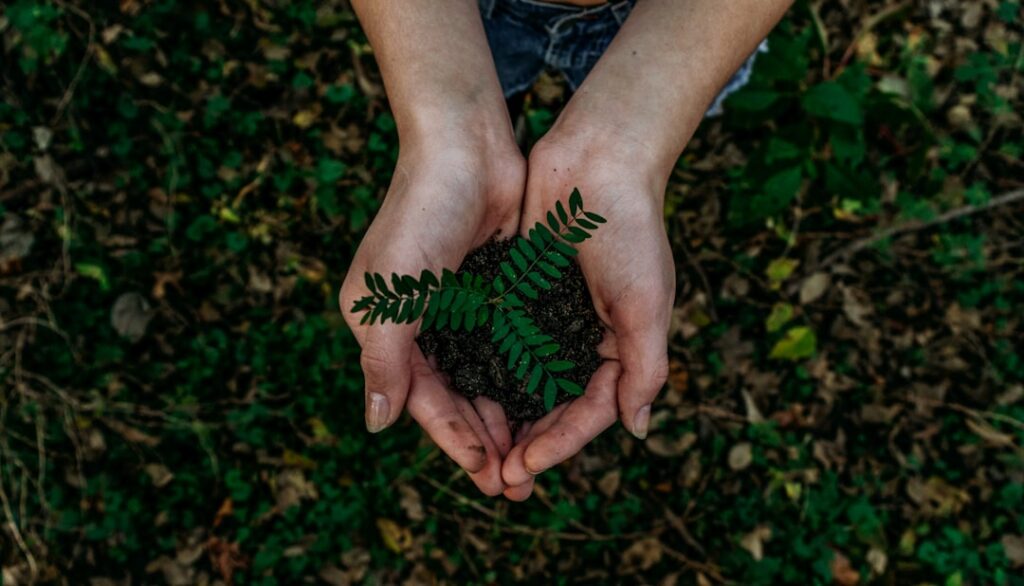Forståelse af Agro-økonomi og Dens Betydning i Dagens Samfund