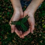 Forståelse af Agro-økonomi og Dens Betydning i Dagens Samfund